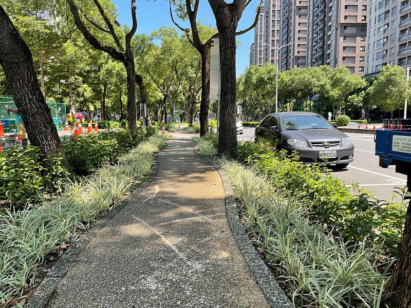 既有小徑種植桂花營造香氣，並以白紋沿街草襯托出色彩及枝葉質感的豐富(大雅路至大義路)