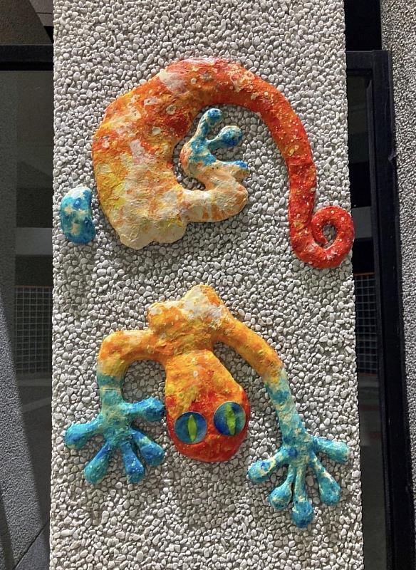 第八屆人氣王作品「 誒你看 壁虎誒」于盈羽。