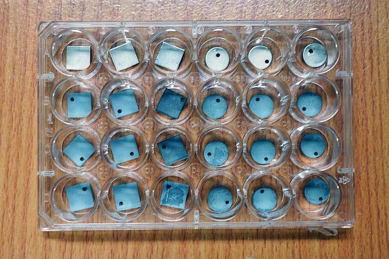 大葉大學運用微弧氧化法，提高鈦金屬的抗菌力