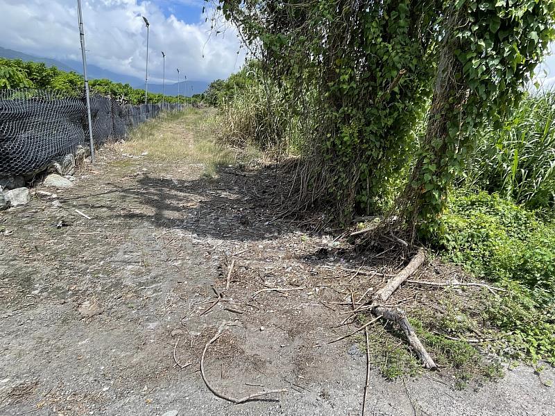 愛護臺東每一寸土地 從生活環境開始 環保局提醒土地髒亂不改善最高可罰6000元