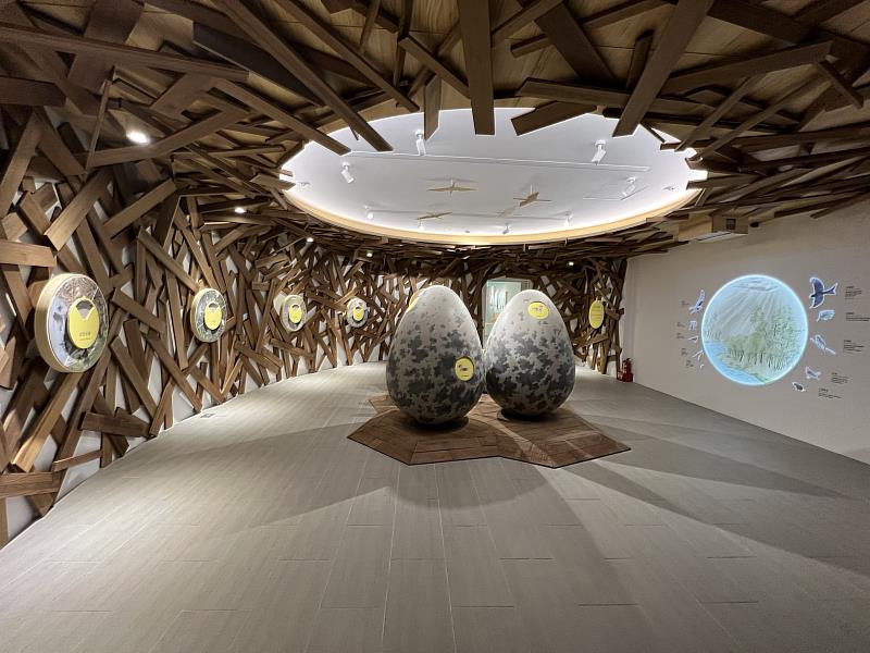 東石自然生態展示館內的「看見自然的律動」常設展場佈置也處處具巧思