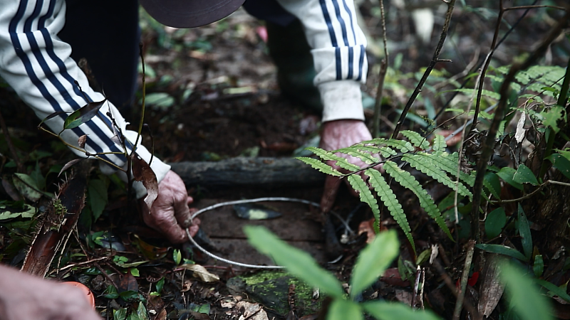 《Ndaan Mpmaduk 入山》從動物和人類的角度來理解狩獵，以及獵人的意圖、感知、動作和手段。