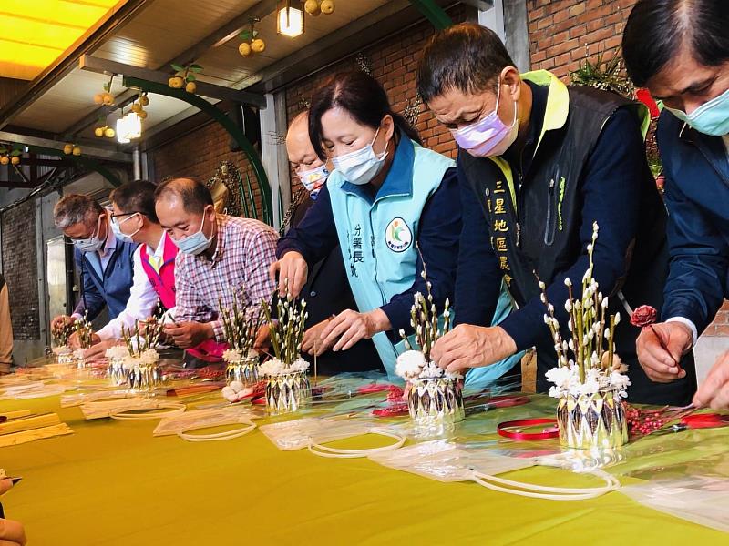 銀柳盆栽創作DIY