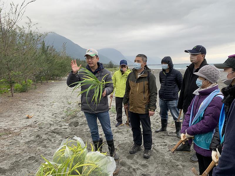 花蓮林區管理處昨18日與台灣山林復育協會、富邦文教基金會、高山森林基地及黑潮文教基金會，於編號第2618號防風保安林(七星潭)共同舉辦「花蓮低地原生植群復育行動」