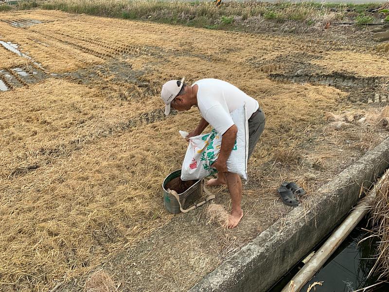 稻草不燃燒 嘉縣推廣農田就地堆肥養地-1