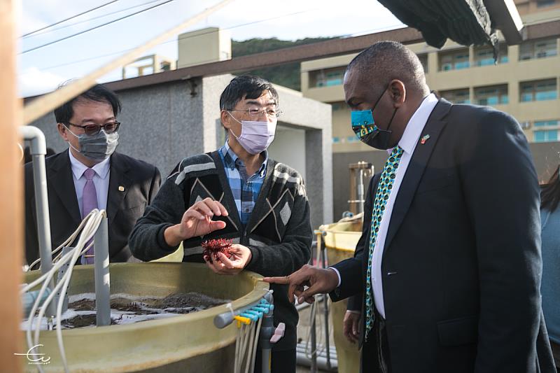 海洋中心助理研究員張睿昇向大使介紹藻類生態