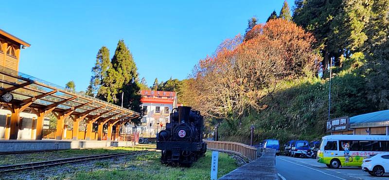 沼平車站旁青楓轉紅 可拍火車及楓紅