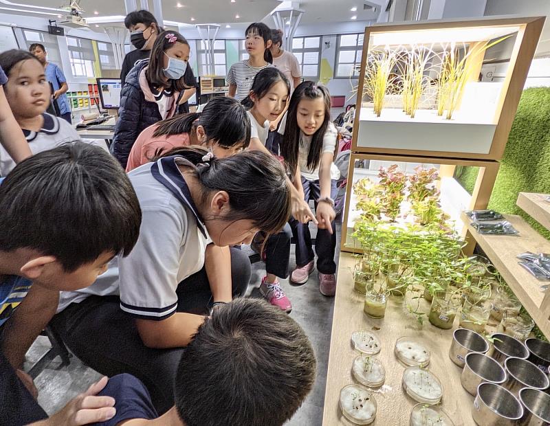 臺東縣關山國小SDGs課程獲天下雜誌教案徵選全國首獎 師生用行動解決家鄉問題