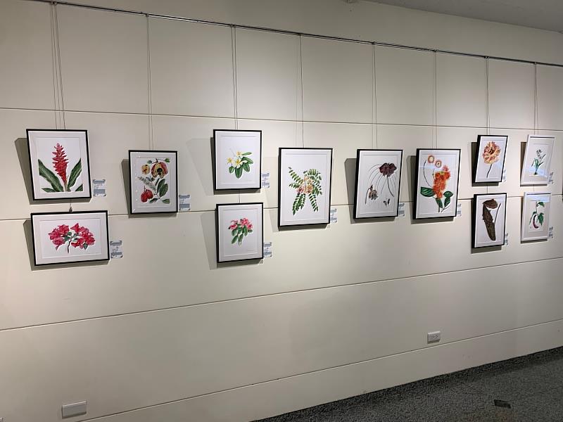 2022 現代植物學繪畫藝術展於成美藝廊展出