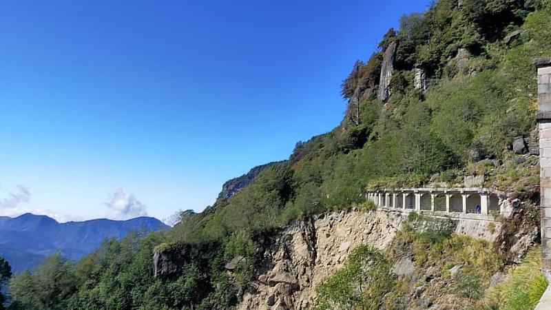 眠月鐵道~迷幻森林~走入山林享受森活~阿溪縱走森林秘境野營隊!!!