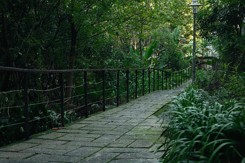 「城市覓徑」-新店區安康森林公園透過低度開發，保留山坡的天然林