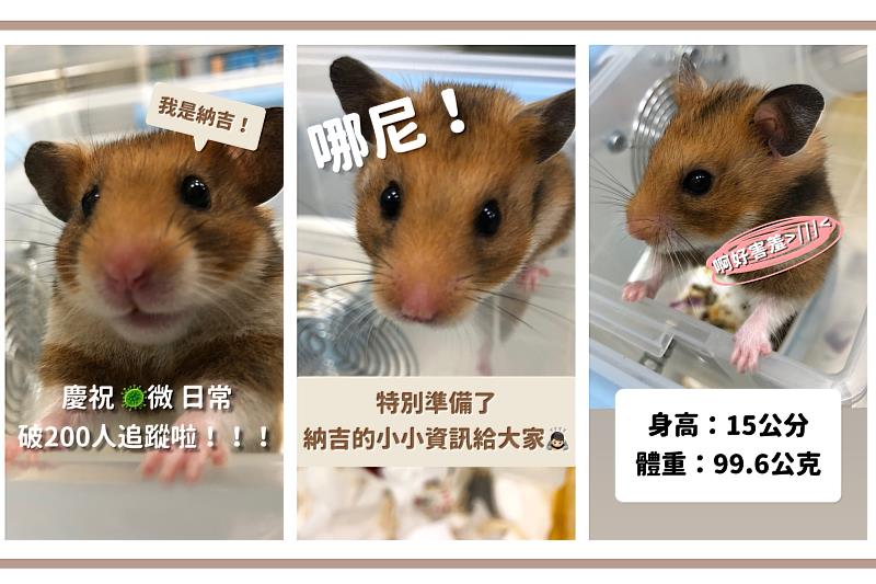 東吳微生物學系IG「微日常」以納吉當主角，介紹微生物小知識