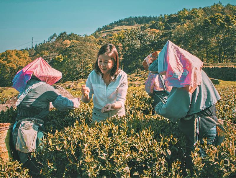 熊空森林休閒農場採茶