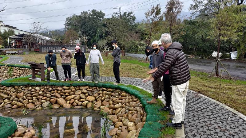 淡水忠寮社區打造魚菜共生示範區