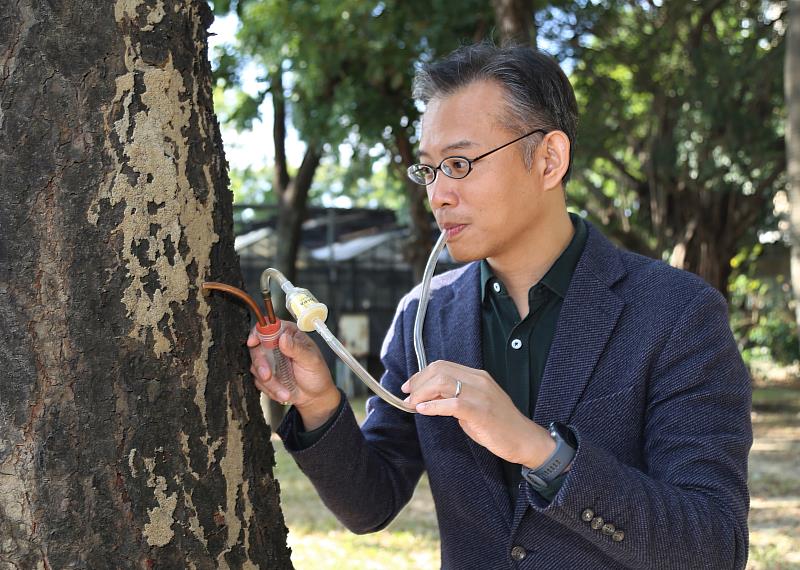 中興大學昆蟲學系教授李後鋒團隊找出白蟻蟻道成份