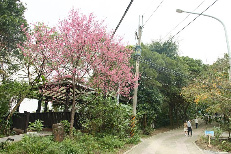 新聞圖片