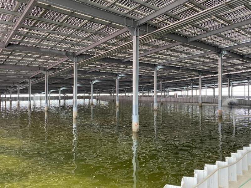 金華攜手億祥能源 南區漁電共生室內養殖示範案場暨太陽光電併網。