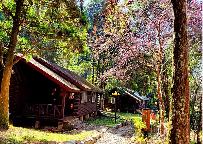 綠色旅遊當道 日月潭中心旅宿環保優惠