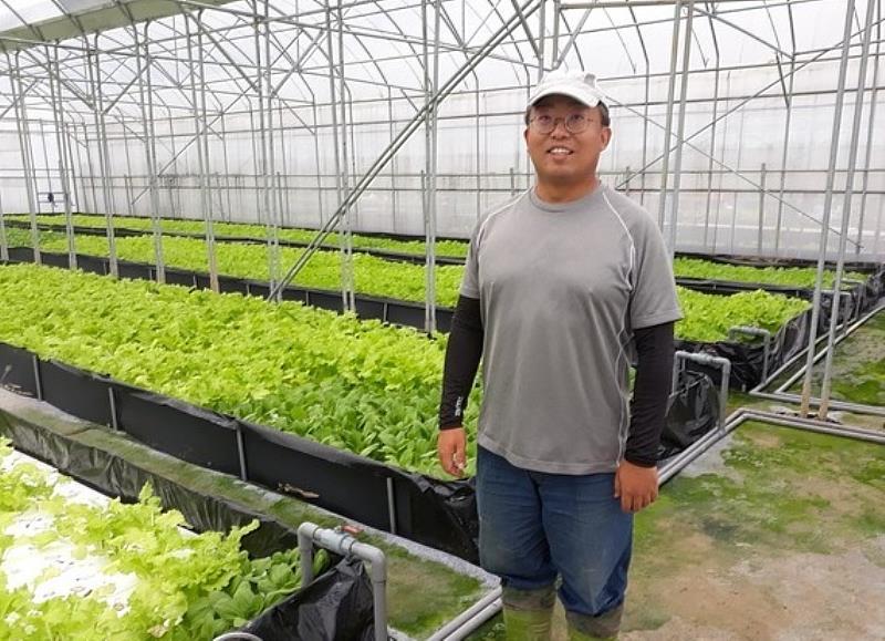 青農呂昆翰打造金山地區「汲鮮」水耕蔬菜農場