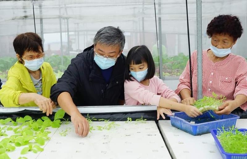 青農呂昆翰(左二)利用台中區農業改良場開發的動態浮根式栽培技術進行水耕栽種