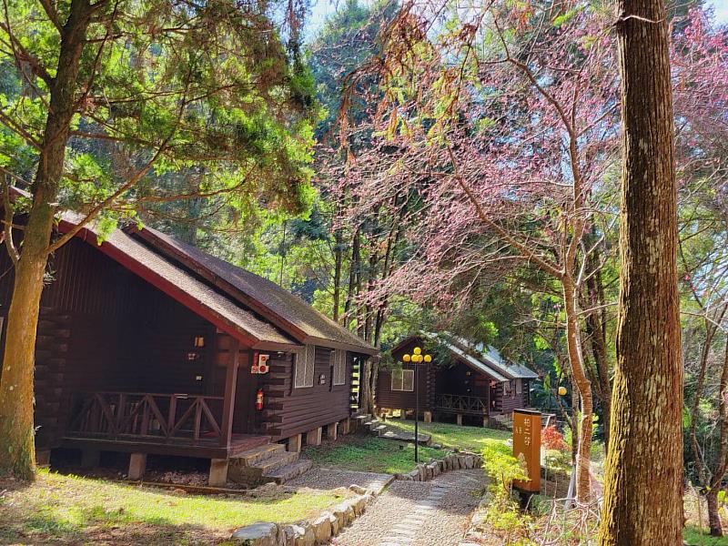 【綠色旅遊當道】永續發展 迎向未來