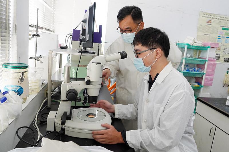 大葉大學生醫系黃尉東主任(左)指導楊明泓同學(右)做實驗