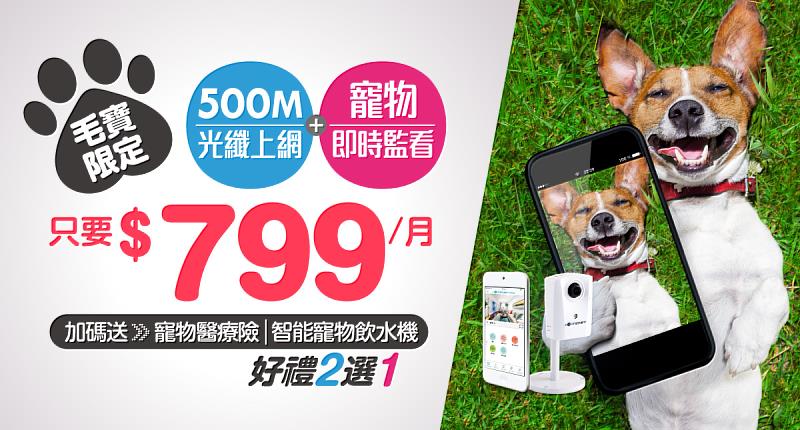 台灣大寬頻推出寵物居家關懷服務，限時搭配500M光纖上網每月只要799元。