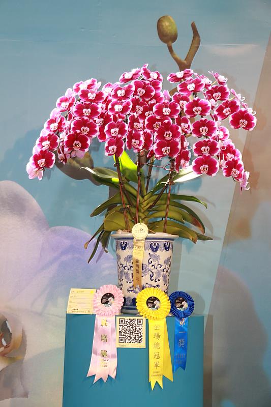 2023臺灣國際蘭展－競賽館大會競賽全場總冠軍