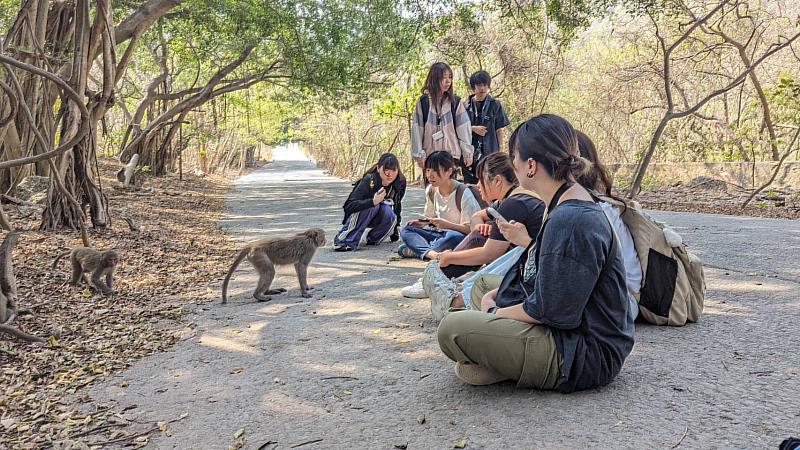 學生與獼猴群接觸