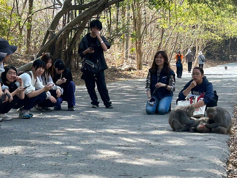 學生在獼猴群中聆聽台灣獼猴共存推廣協會秘書長林美吟(右)解說