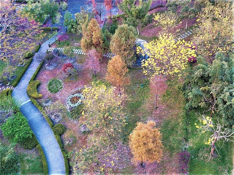 已連續6年榮獲世界綠能大學評比全球百大的朝陽科大，校園植栽種類近200種，總數超過10萬株。