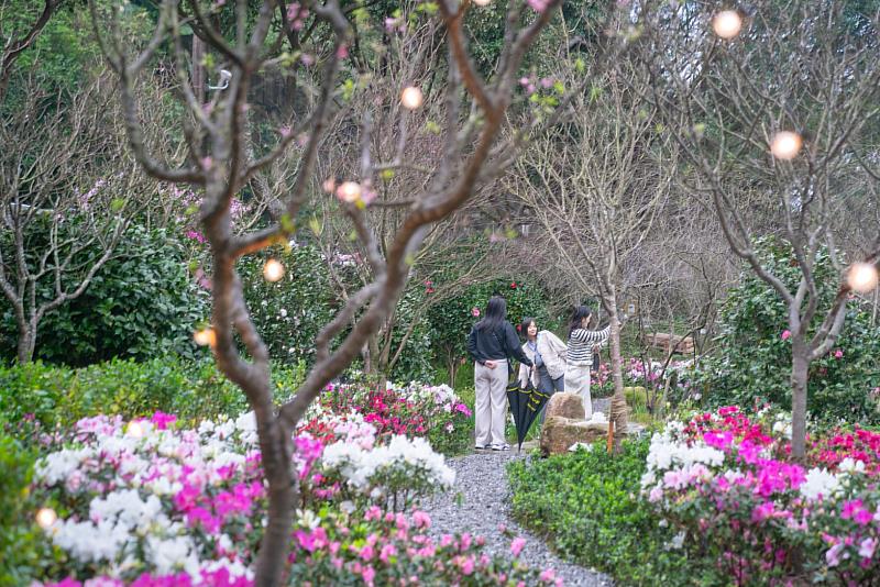 萬金杜鵑花展以藝術結合在地各式杜鵑、生態植物、景石與源源不絕的山泉流水，於萬里觀光公園打造流瀑及「湧萬金」噴泉.