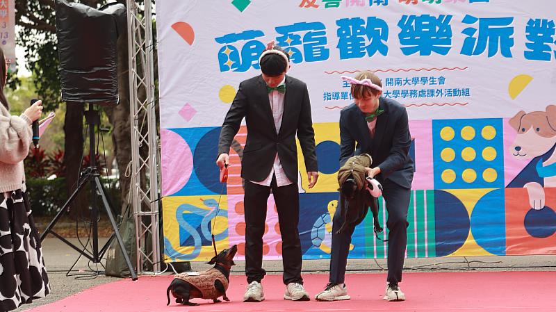 應英系毛泰老師與學生帶寵物走秀。