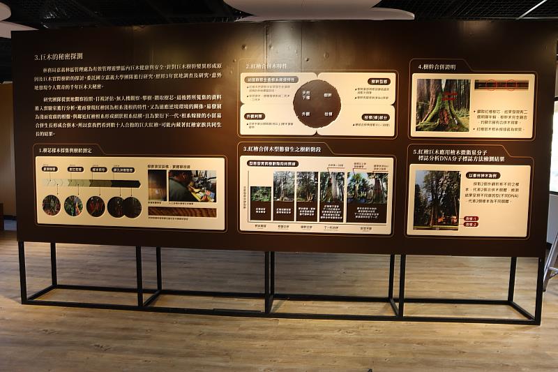 展覽也說明最新的樹齡探測方式