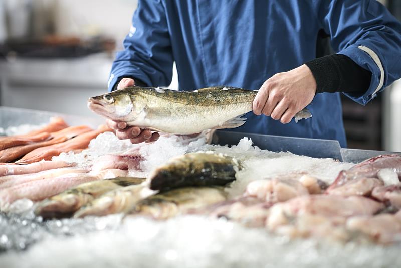 以魚肉取代部分肉品，不只減少脂肪攝取，也可預防黃斑部病變