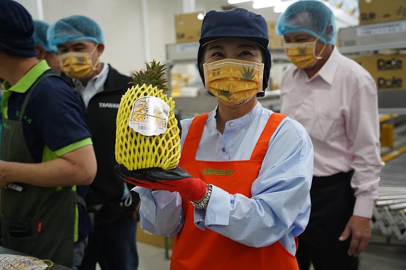 屏東鳳梨導入冷鏈  海運外銷日本