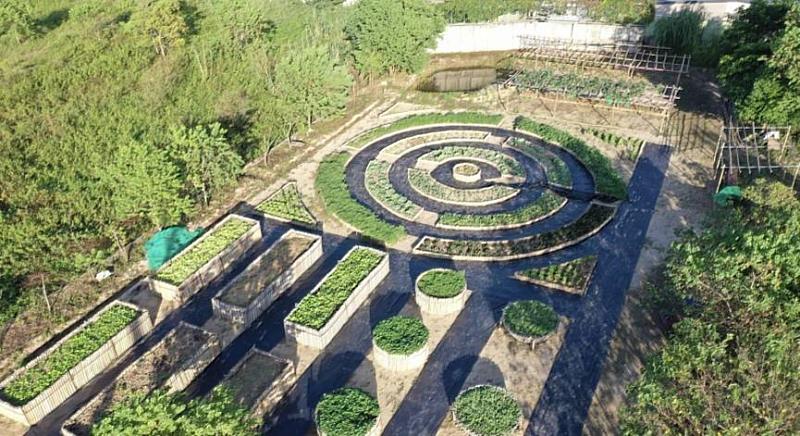 官網-菜園皆使用有機栽種法。(內立社區發展協會提供)