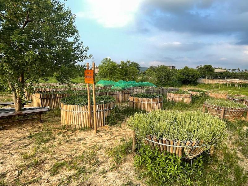 官網-碗型設計的菜圃，讓坐輪椅的長輩也能種菜。(內立社區發展協會提供)