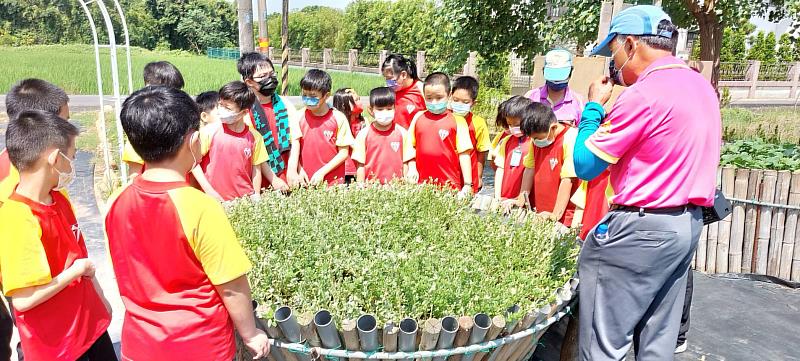 社區菜園近年來已成為鄰近的國小食農教育推廣場所。(內立社區發展協會提供)