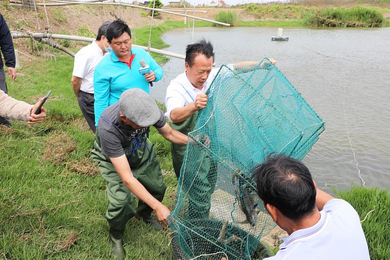 享受獨特食魚體驗！翁章梁與攜手料理達人阿芳老師抓鰻魚、收白蝦