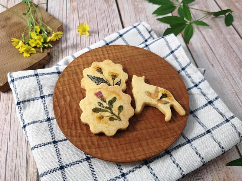 嘉義限定文創市集「朴通市集─春遊童樂會」年後首發 親子朝聖！