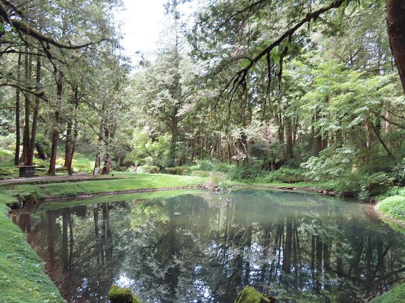 替代道路將由阿里山閣飯店旁通往妹潭銜接環潭步道，方便遊程安排
