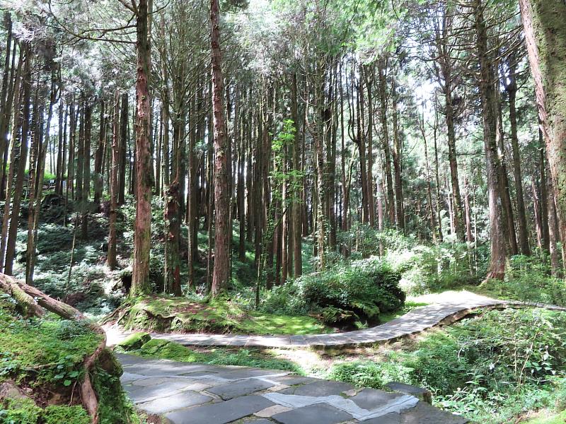 沼平通往姊妹潭的石板步道將分區封閉進行整修