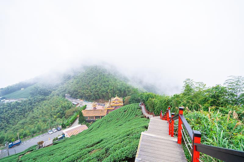 親子淺山小旅行 嘉義推薦3條幼幼級步道