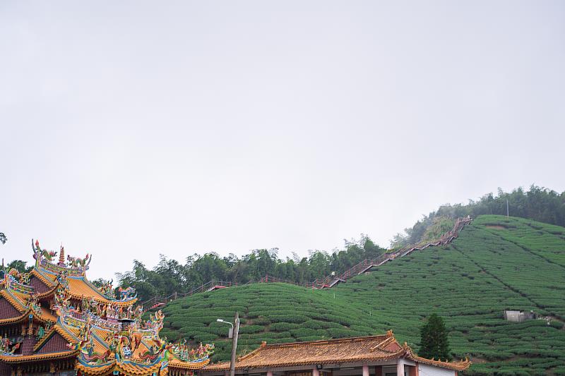親子淺山小旅行 嘉義推薦3條幼幼級步道