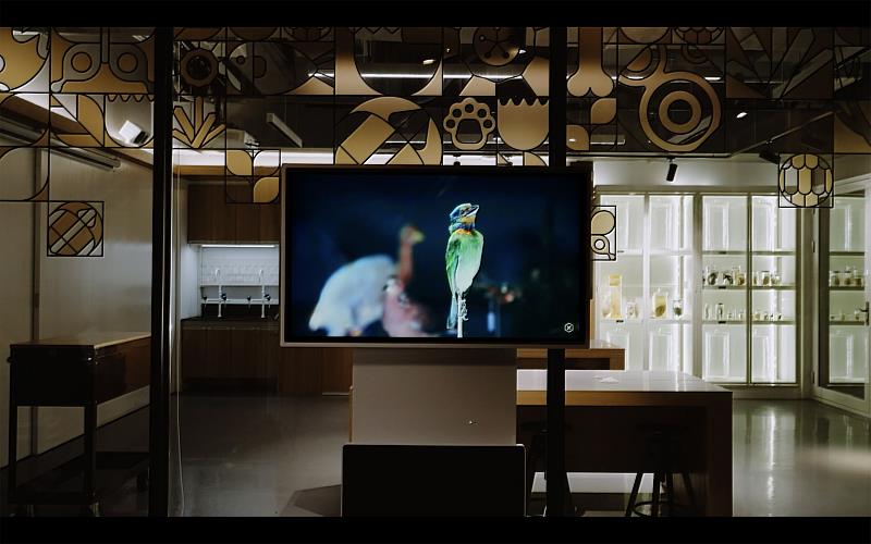 臺博館藏之有物開放庫房設置多媒體互動裝置介紹博物館各式標本