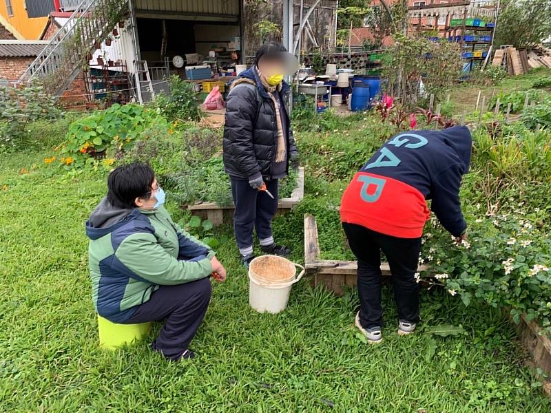 會所還有安排農場工作日，體驗各種多元課程，增加夥伴間互動。