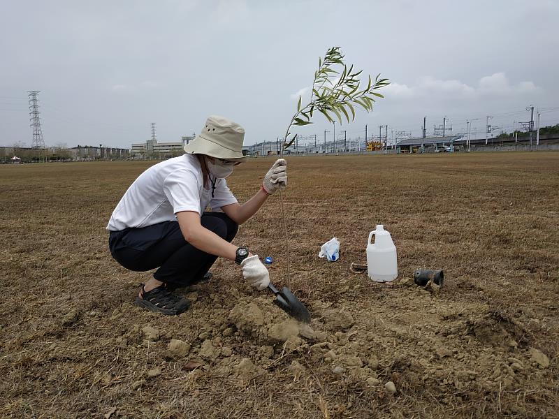 高鐵員工認真植樹