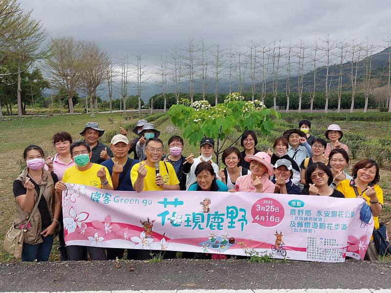 台東鹿野地區油桐花正值花期  歡迎大家共下來賞桐花四月雪