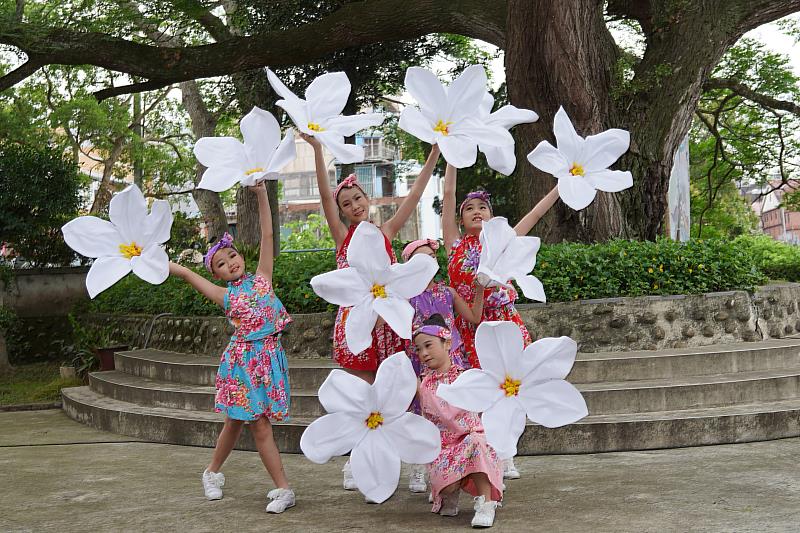 桐花小仙子舞蹈演出精彩